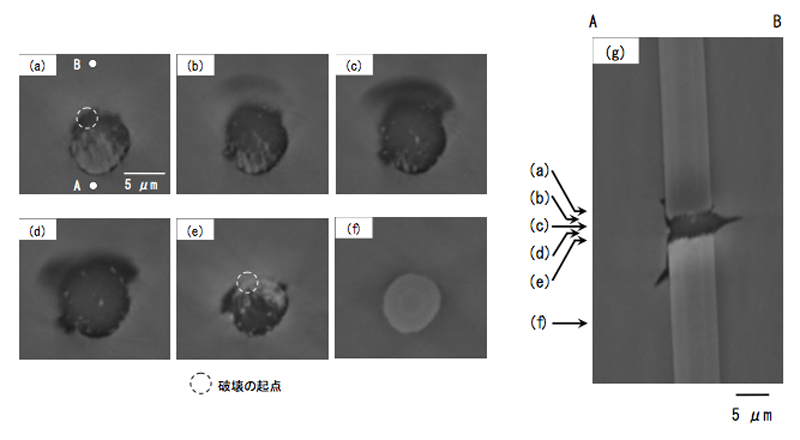 X線マイクロトモグラフィーを用いた炭素繊維複合材料のクラック解析Microcrack Analysis of Carbon Fiber