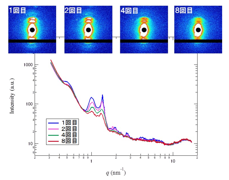 マイクロビームX線散乱法を用いたヒト皮膚角層構造の深さ方向解析II The Depth Direction