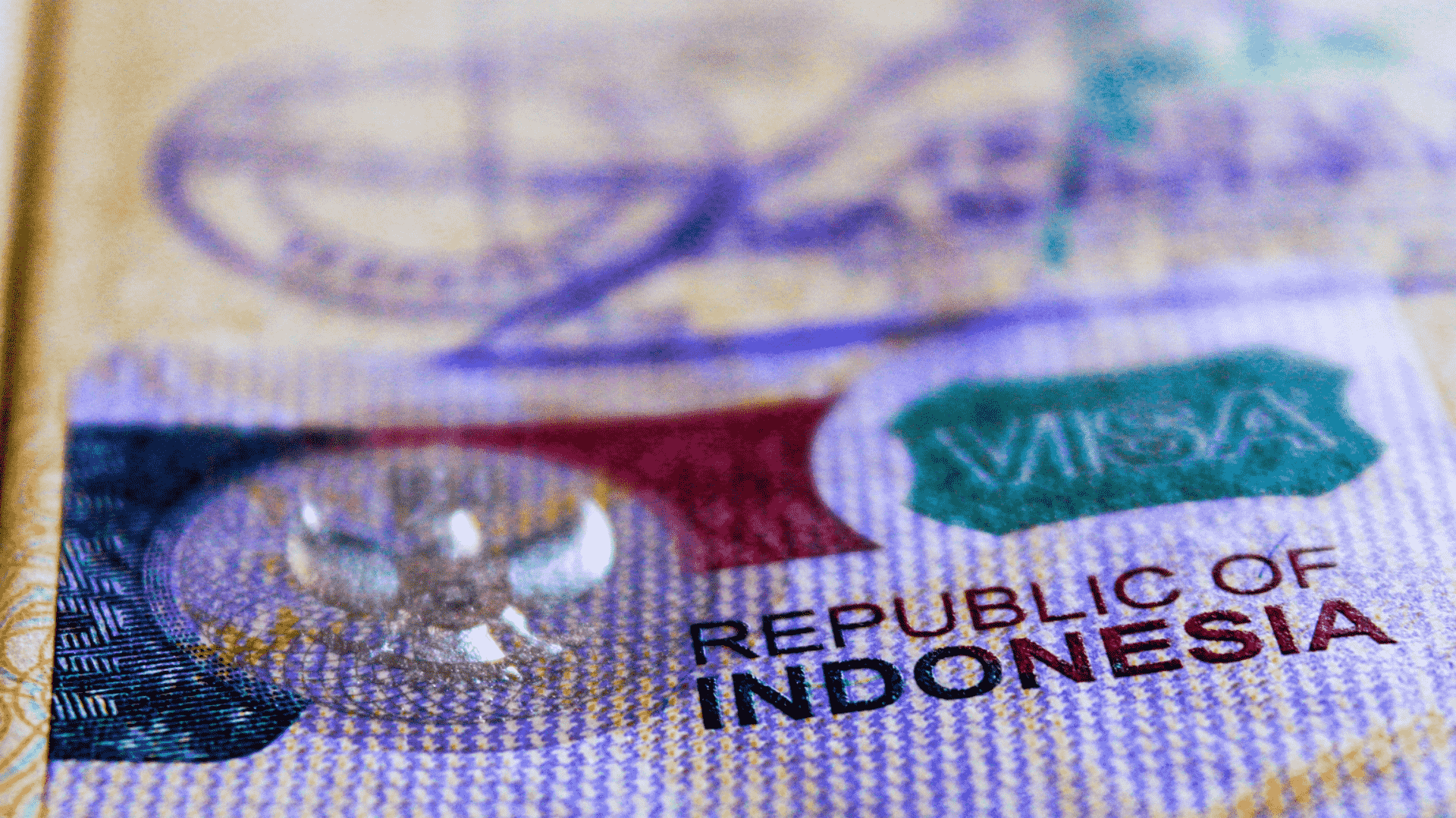 Social Visa Indonesia Visa for Social and Cultural Visit