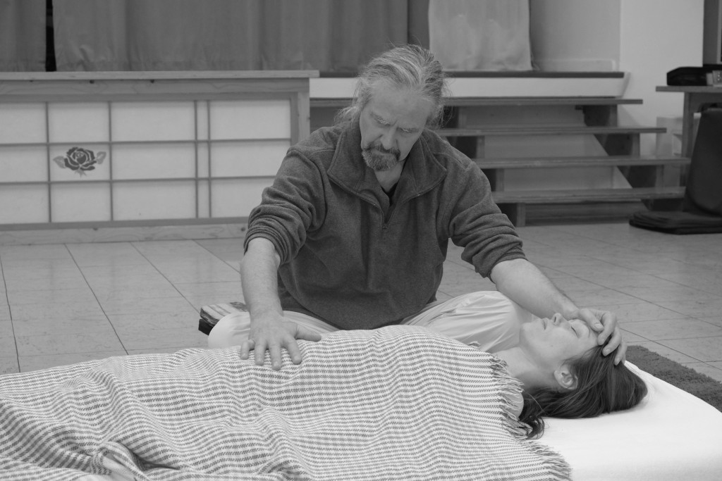 We ALSO offer Trainings in Energetic Integration!! Postural Integration