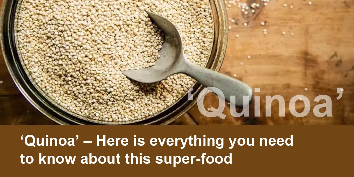 Quinoa Everything We Need to Know