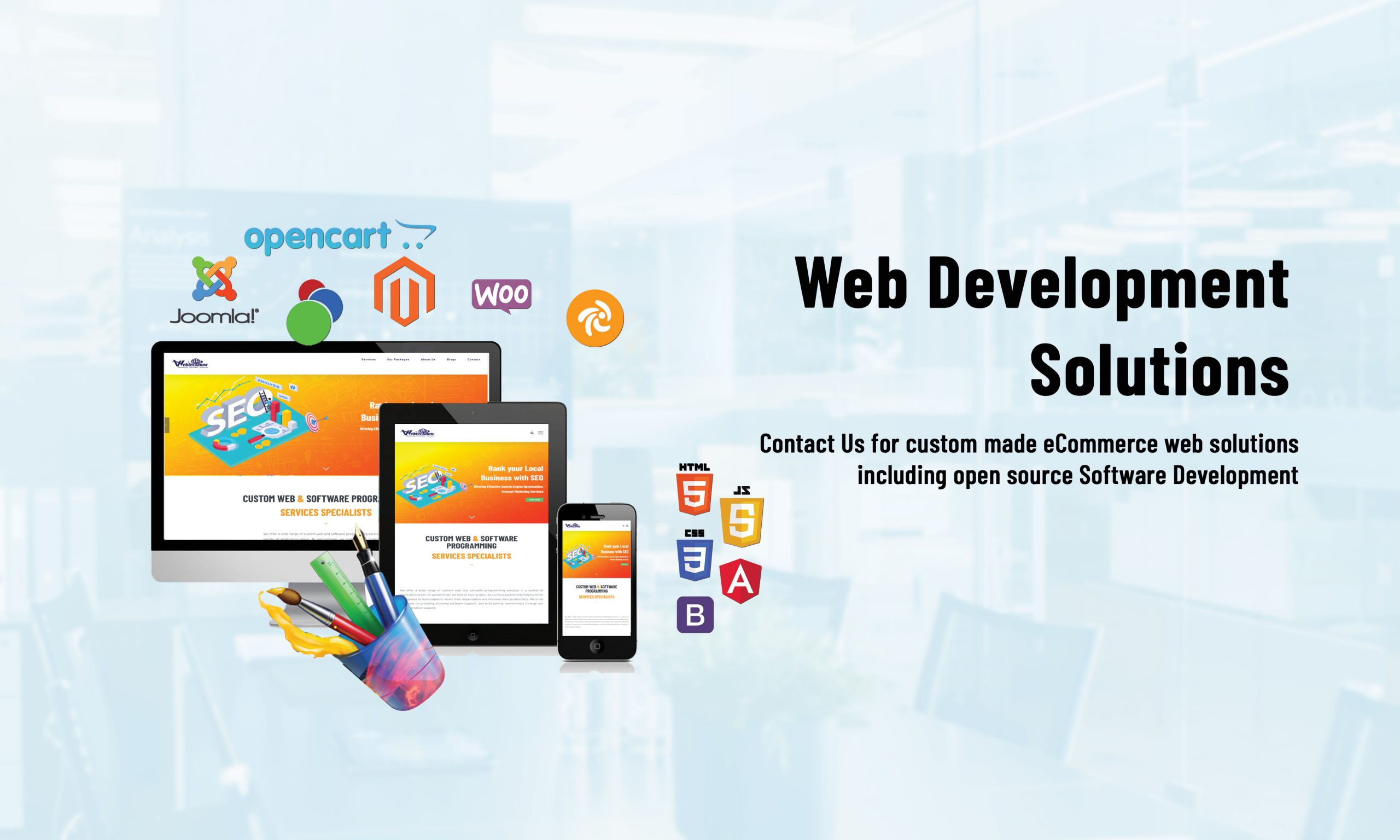 Top Custom Web and Software Development Company in Ontario Canada