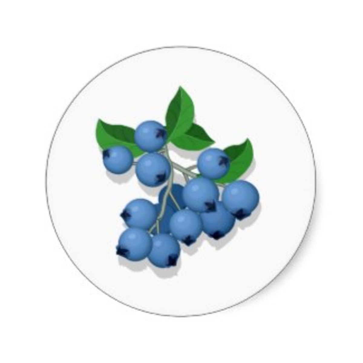 Blueberries for Sal Unit Study HubPages