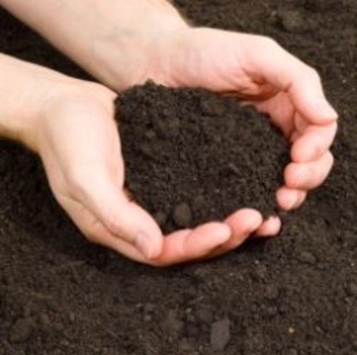 How to Sterlize Potting Soil HubPages