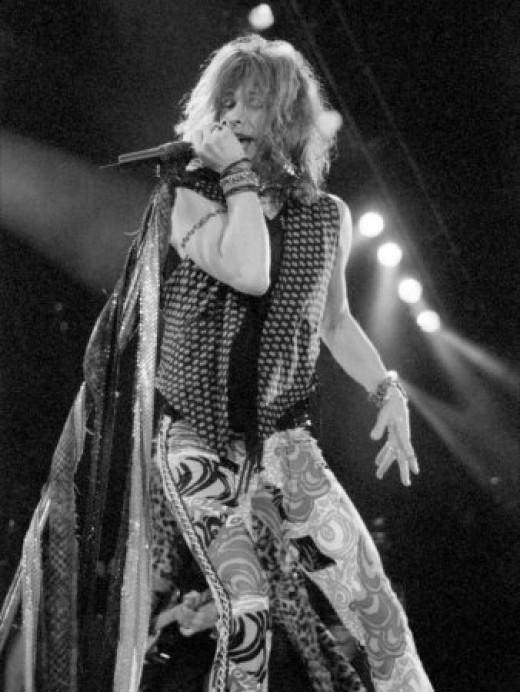 Steven Tyler Costumes