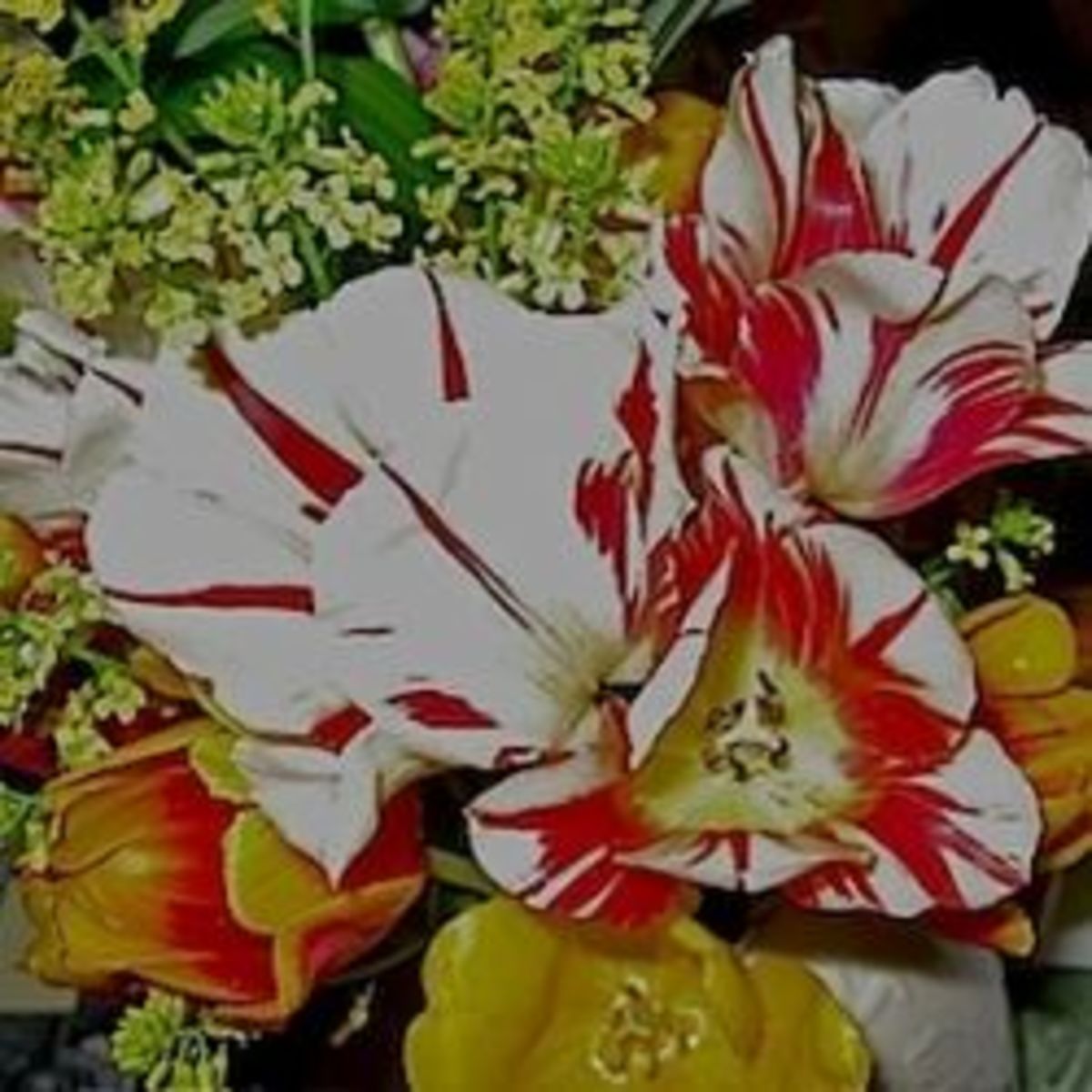 My Victorian Garden Gardening with Rare & Unusual Antique Heirloom