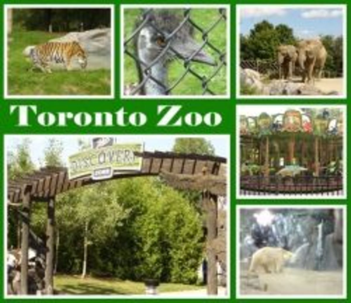 Toronto Zoo Canada HubPages