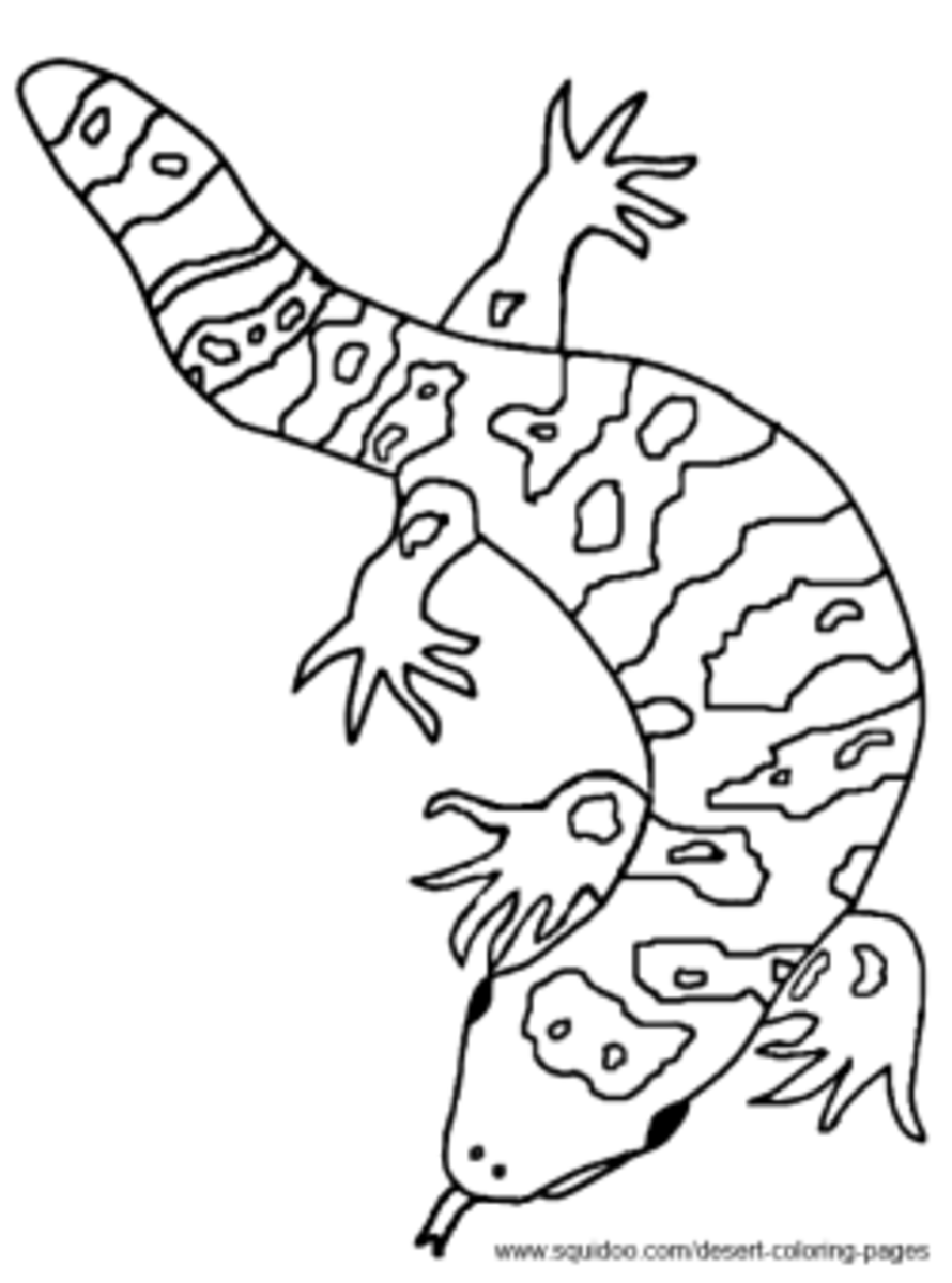 Desert Coloring Pages