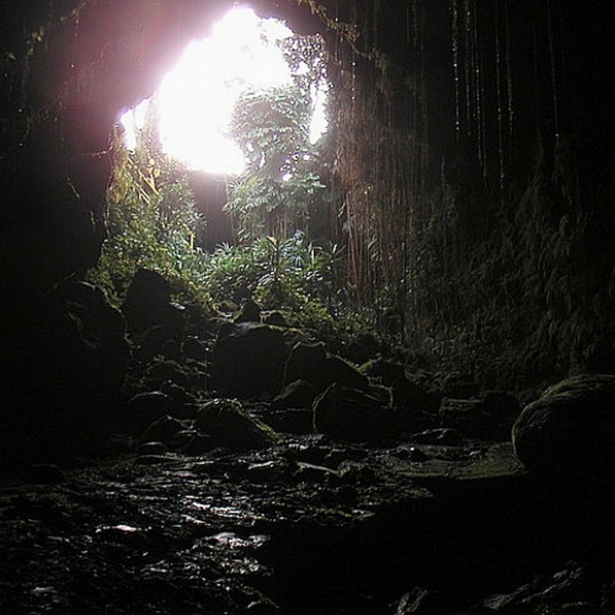 Kaumana Caves Park