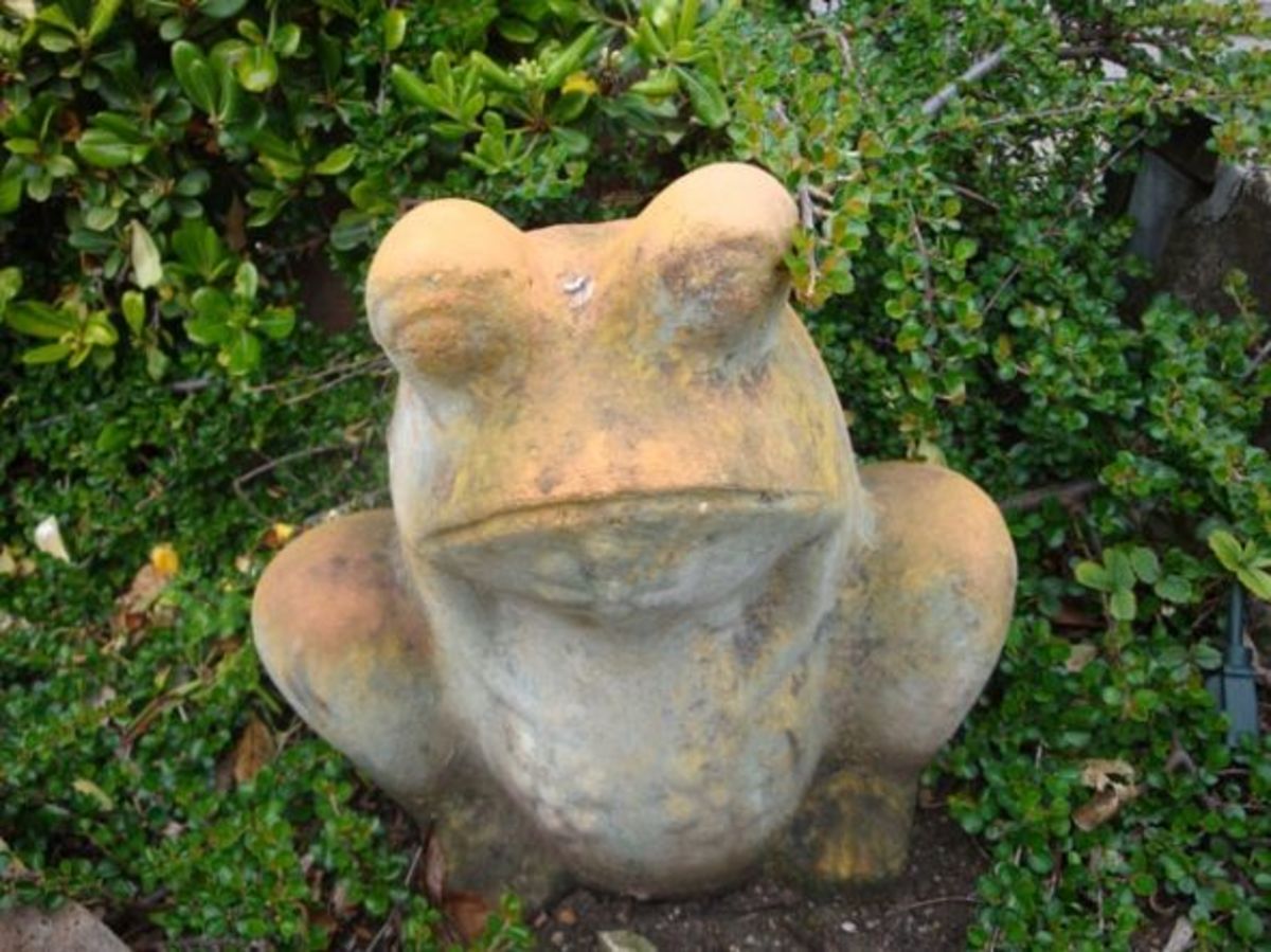 Large outdoor frog planter r/HelpMeFind