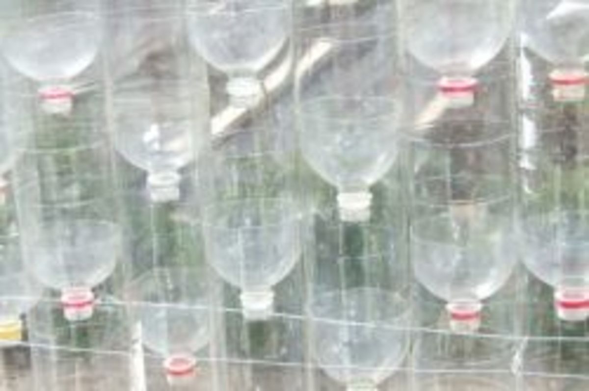 How to Grow Strawberries Using Plastic Bottles Dengarden