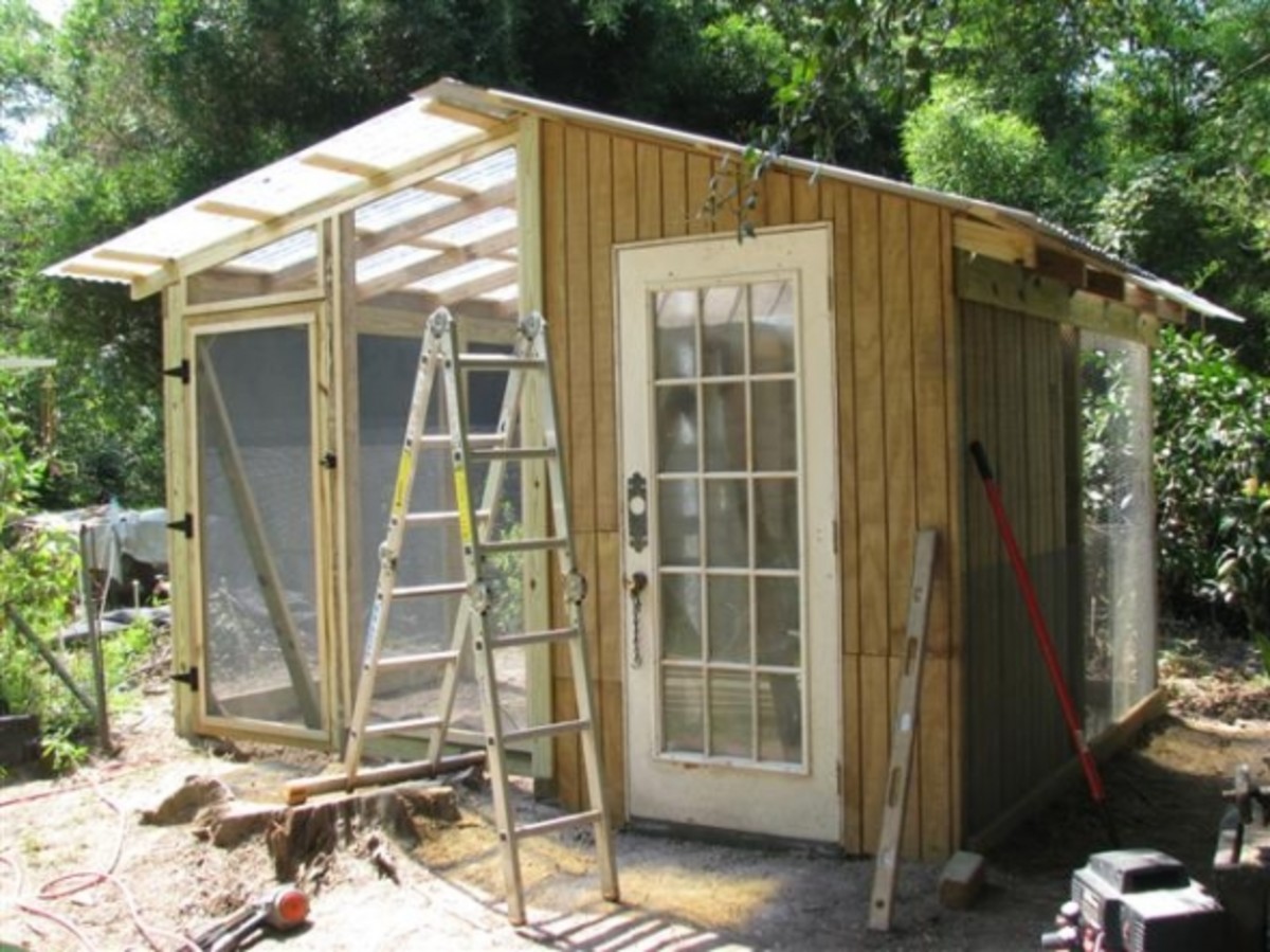 Chicken Coop and Greenhouse Construction Dengarden