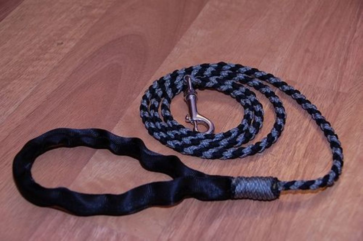 Paracord dog leash instructions HubPages