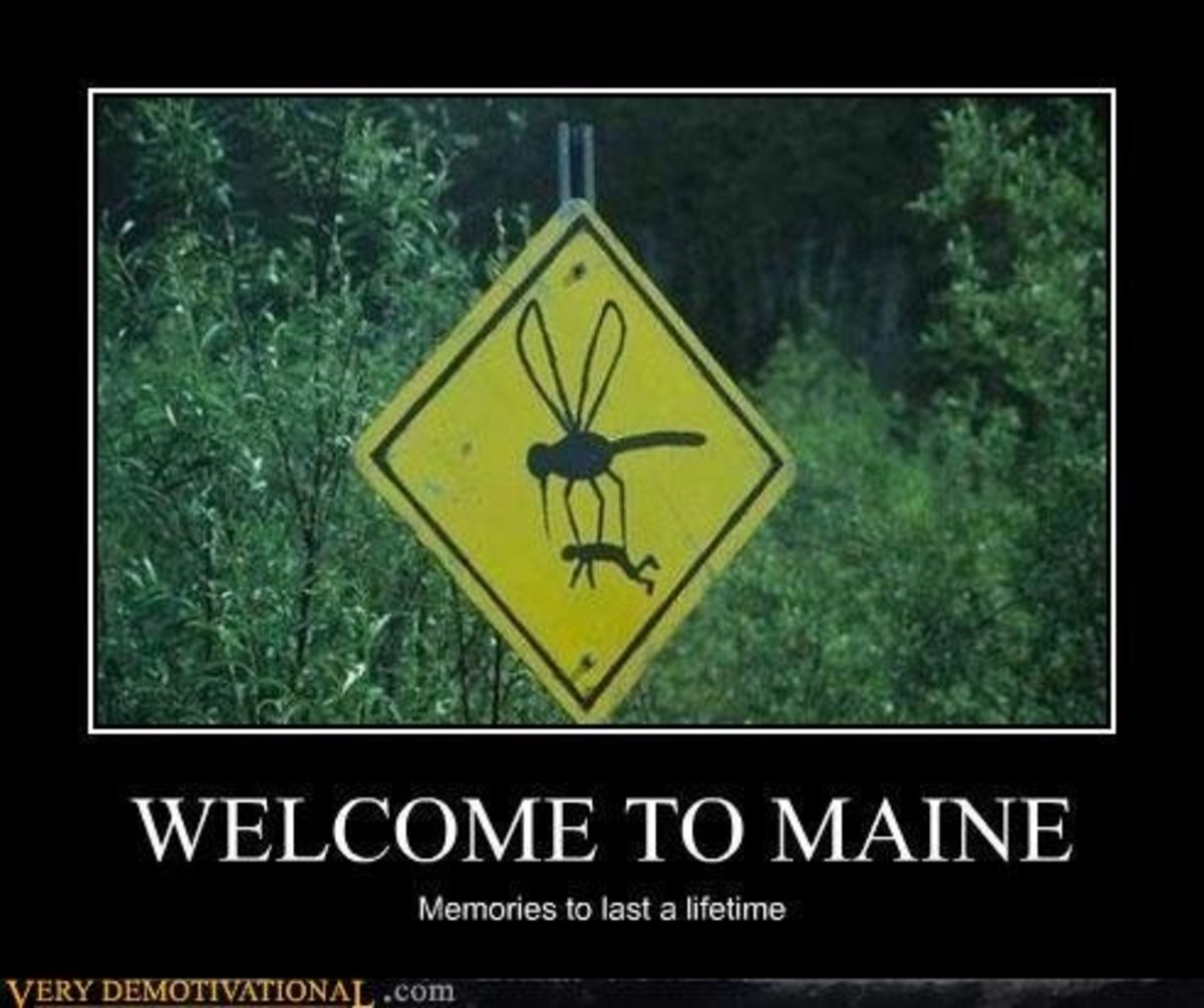 Top 25 Funny Demotivational Posters