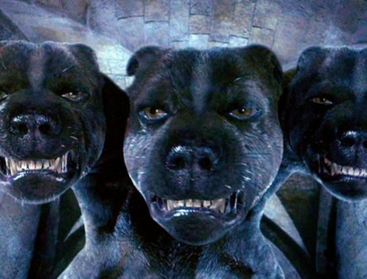 Harry Potter Fluffy ThreeHeaded Dog Collectibles HubPages