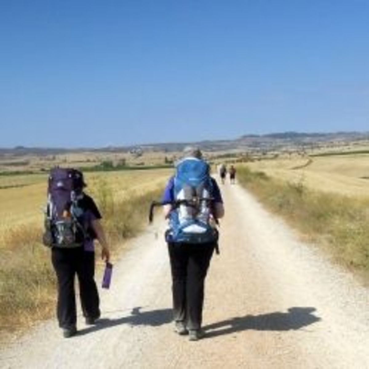 What to Pack for the Camino de Santiago WanderWisdom
