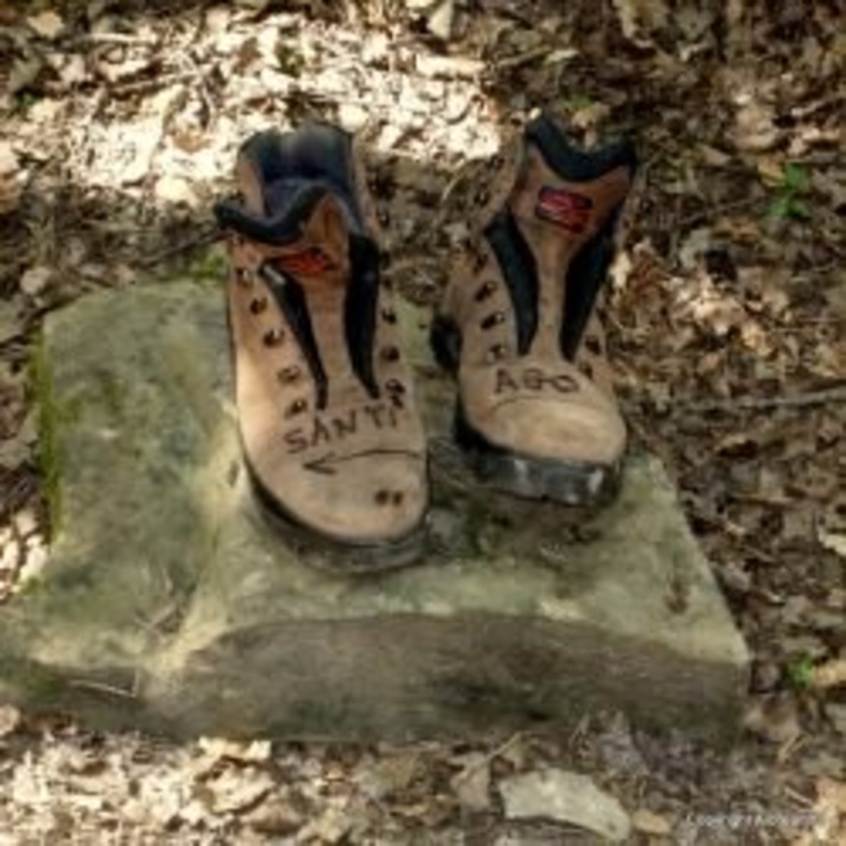 What to Pack for the Camino de Santiago WanderWisdom