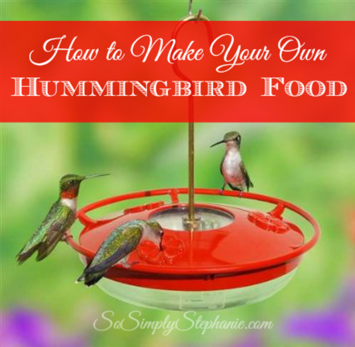 The Perfect Hummingbird Food Recipe HubPages