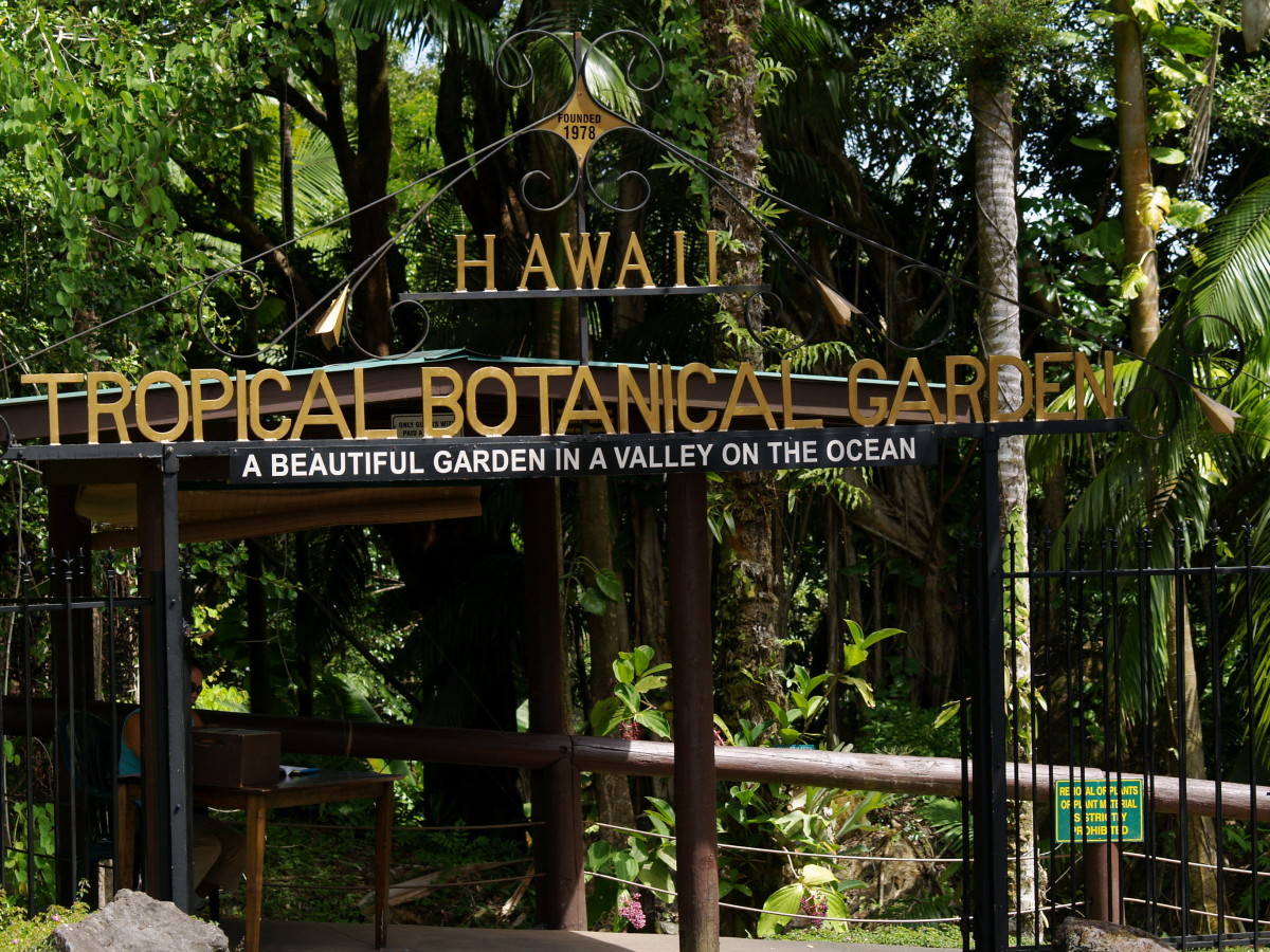 Visiting the Hawaii Tropical Botanical Garden WanderWisdom