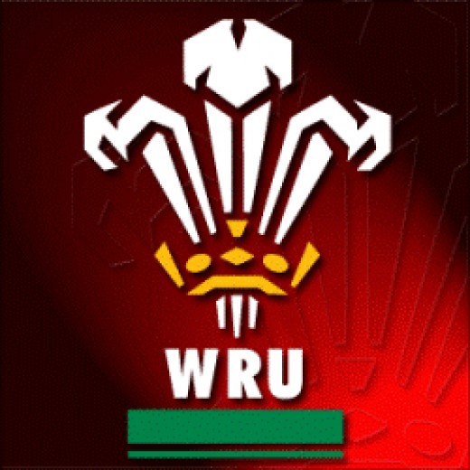 Welsh Rugby Union hubpages