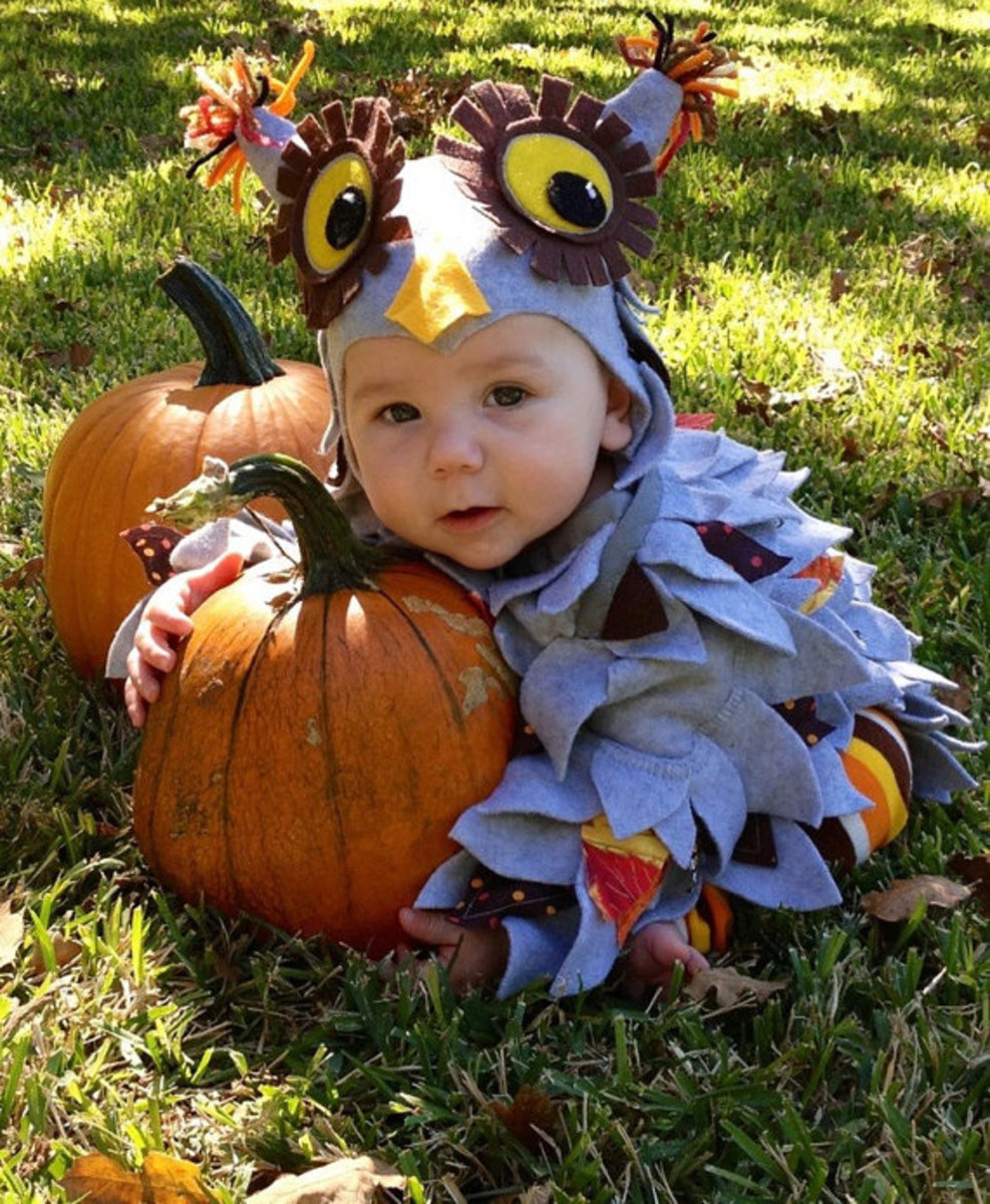 Baby Owl Costumes
