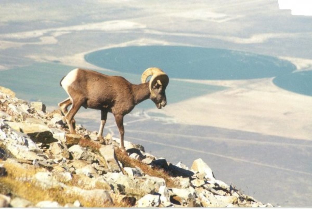 Great Basin National Park