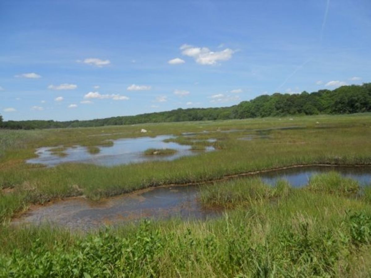Hiking Barn Island, Stonington, Connecticut HubPages