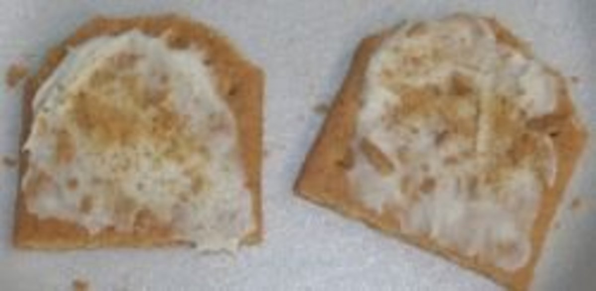 Laws and Obedience Lesson HubPages