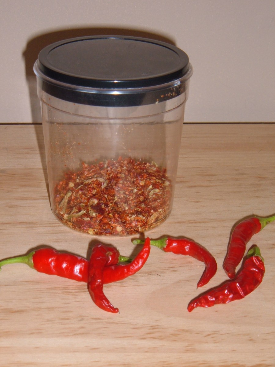 How to Get Rid of Groundhogs, Woodchucks, and Voles Dengarden