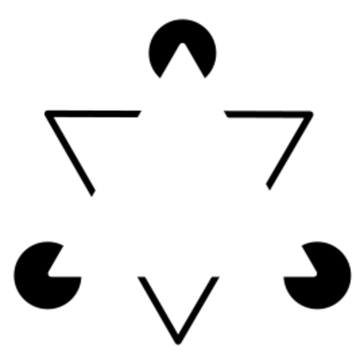 Ambiguous Optical Illusions HubPages