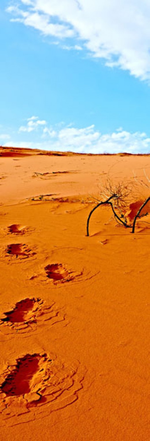 Baby Names Inspired by the Desert WeHaveKids