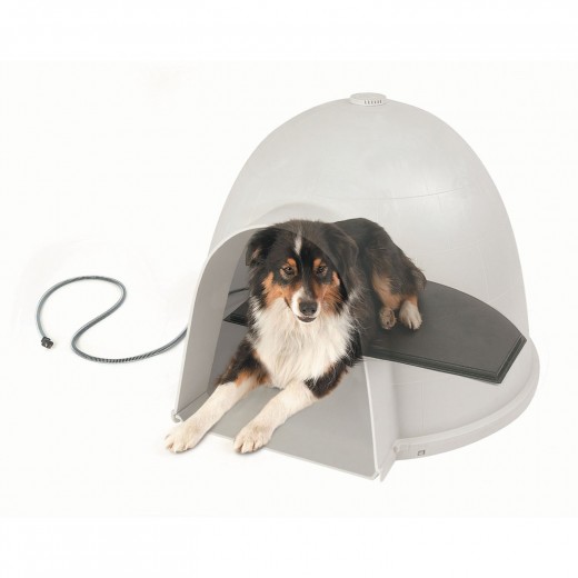 Best Safe Electric Heated Beds for Dogs HubPages