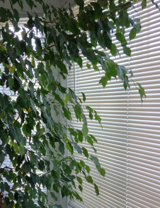 Three Easy Ways to Clean Vinyl Mini Blinds