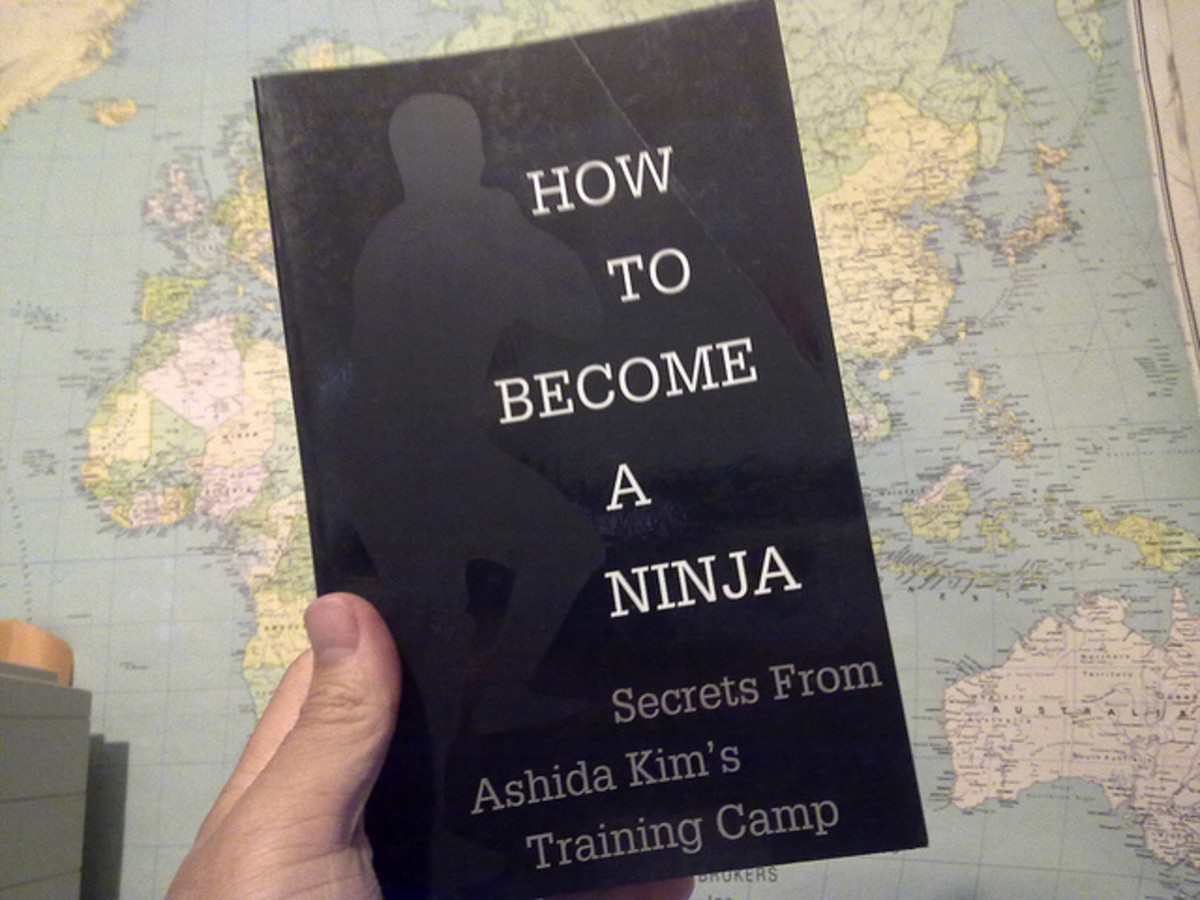 The Pros and Cons of Online Ninjutsu Training HubPages