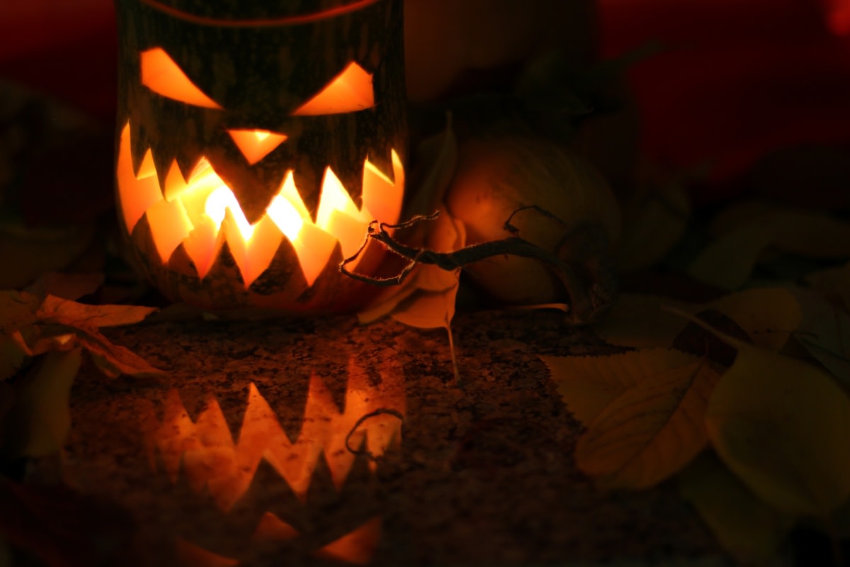 The Lost History of the Jack O'Lantern Owlcation