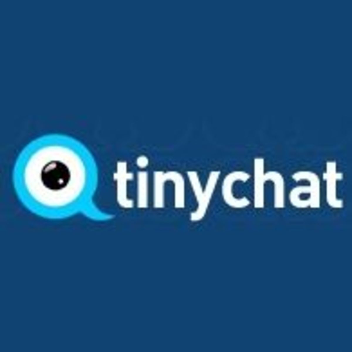 7 Sites Like Omegle The Best Chat Websites To Try HubPages