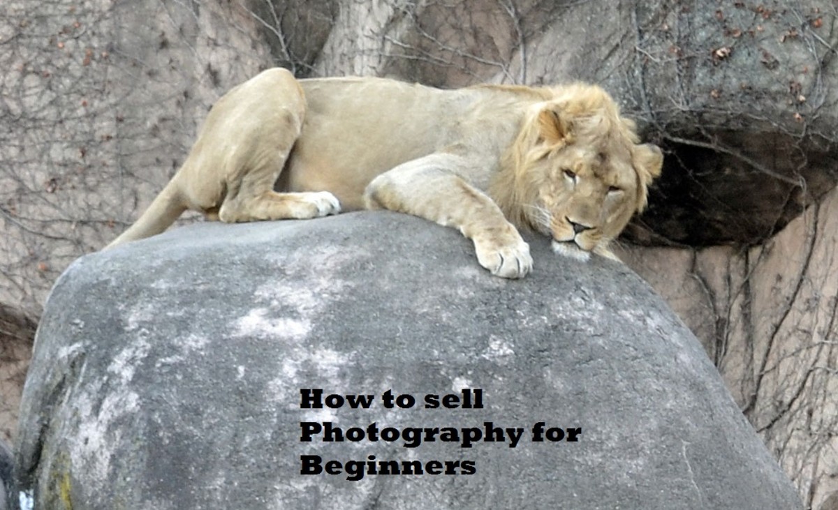 50 Creative Photography Name Ideas