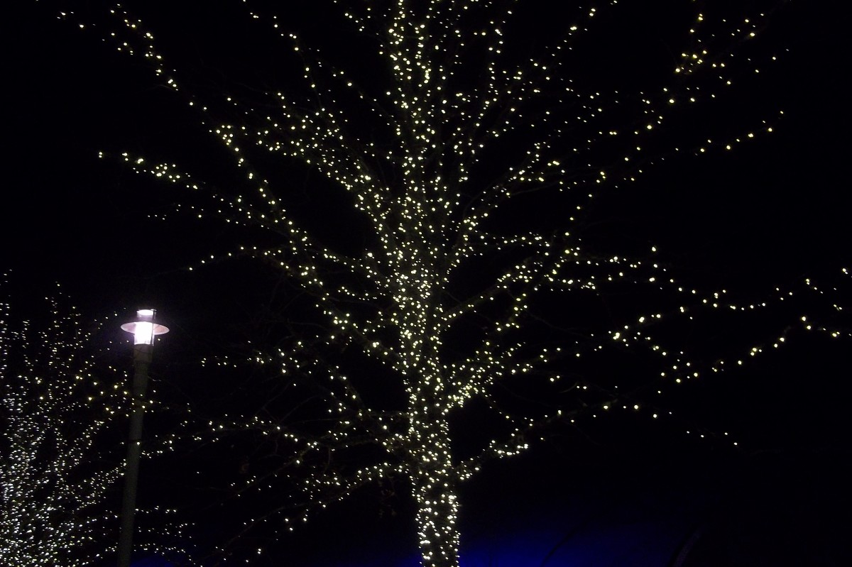 Seasonal Cover Photos for Facebook Fall and Winter Edition HubPages