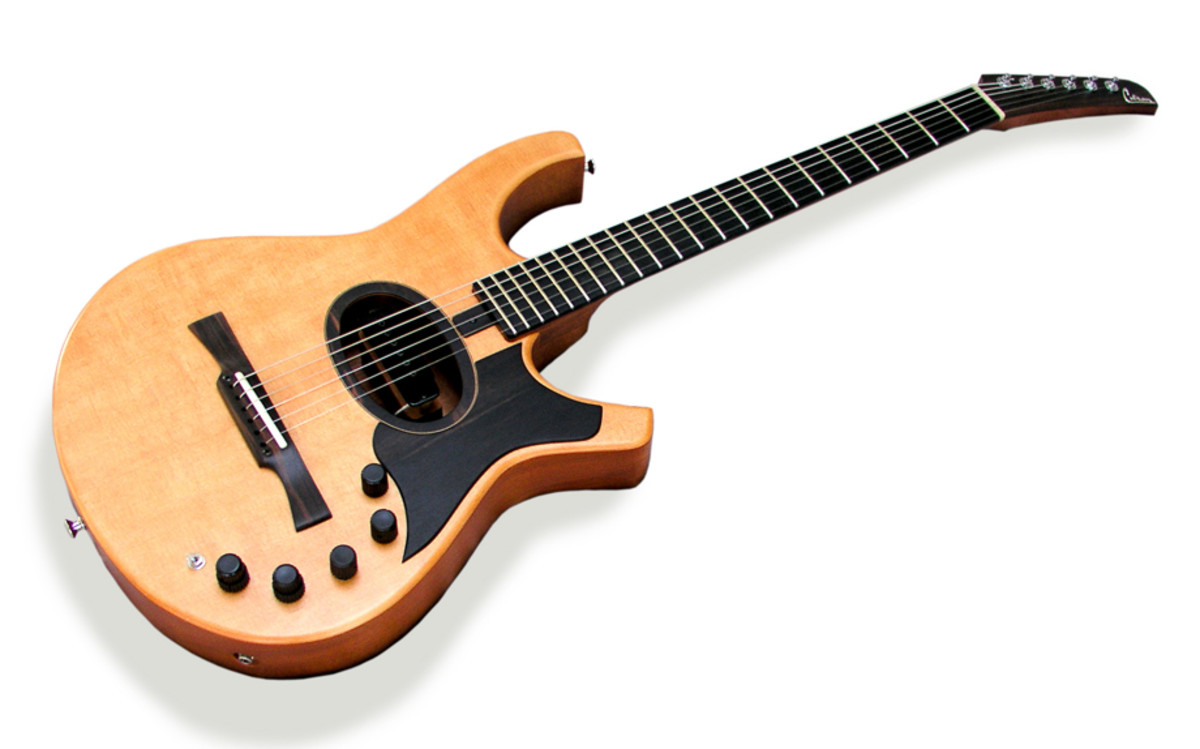 The Great Electric Guitar Tone Wood Debate Solved! Spinditty