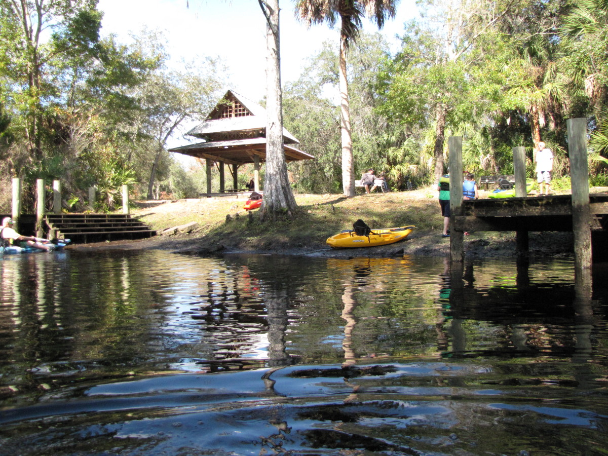 Kayaking the Cotee River in the James E. Grey Preserve New Port Richey