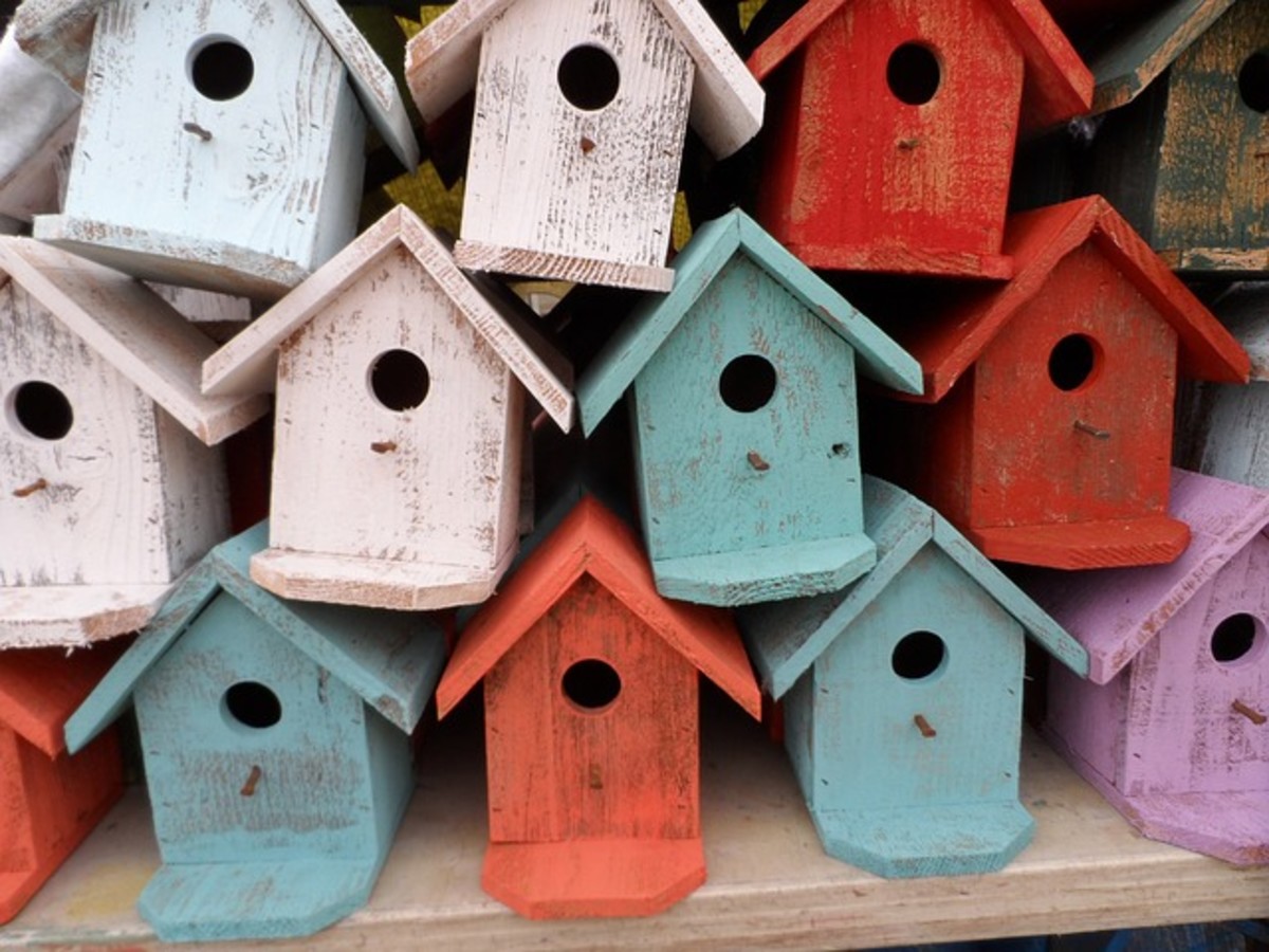 How to Get Birds to Nest in Your Birdhouse Dengarden