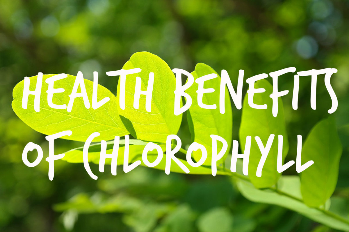 Health Benefits Chlorella Vitamins, Protein, Minerals, Nutrients