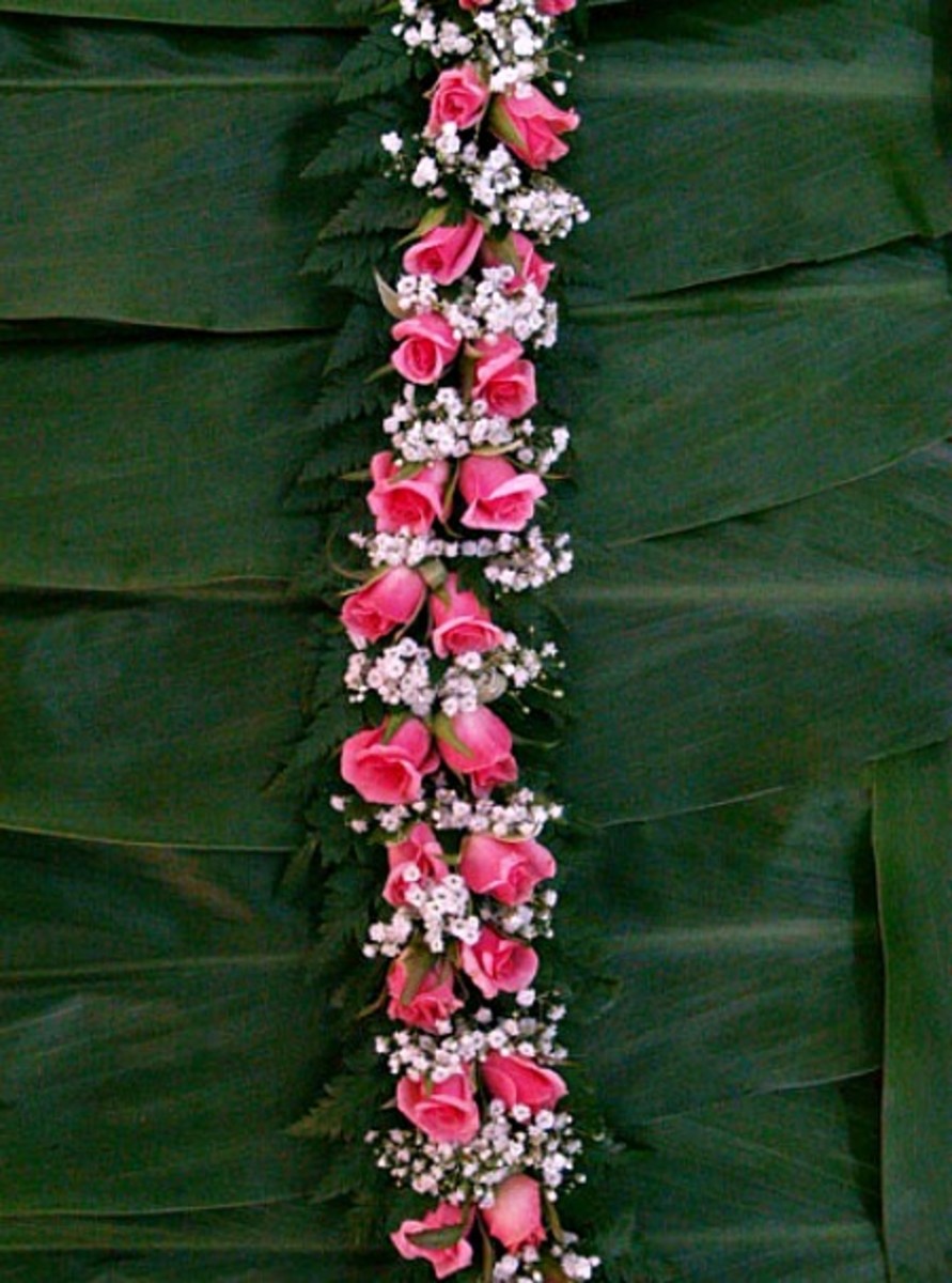 Flowers and Plants of Hawaii HubPages