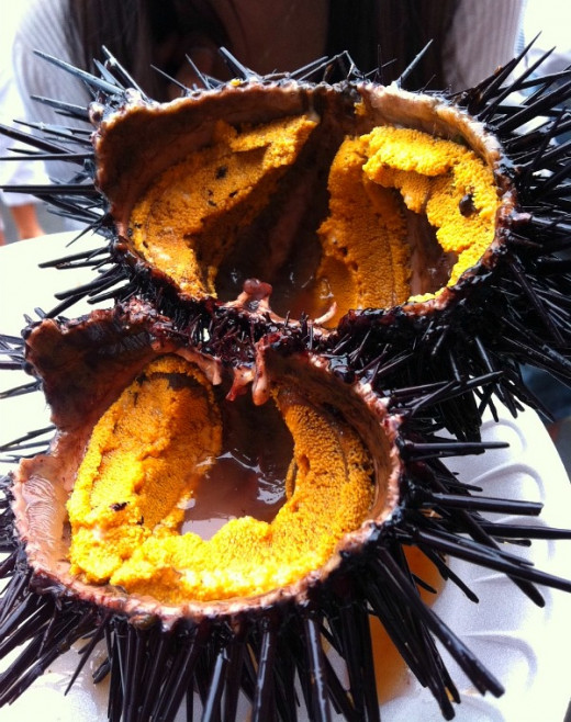 What is Uni (Sea Urchin Roe) and Why Should I Eat It? HubPages