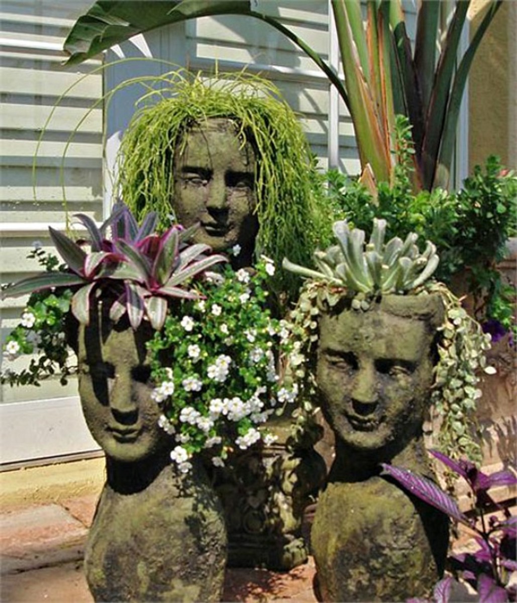 Hypertufa Garden Container Dengarden