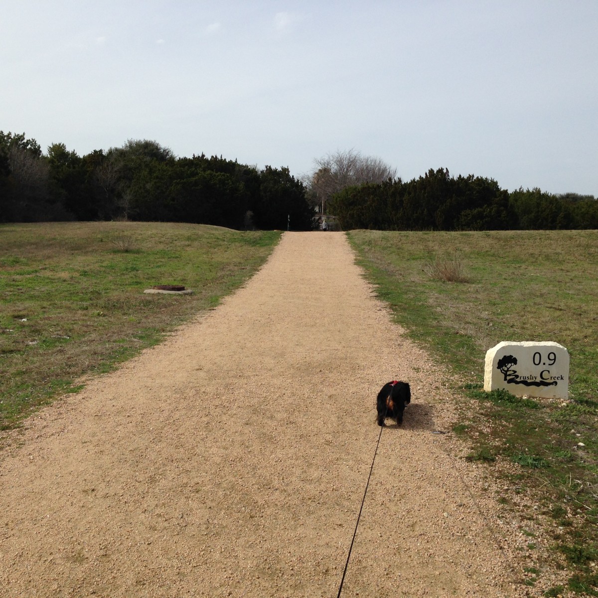 Cat Hollow Park & Pool Round Rock Walking Trails, Pool, Tennis Courts