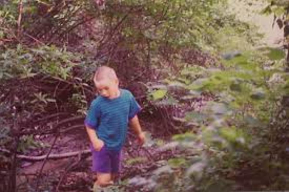 Was the West Memphis Three Case a Modern Day Witch Hunt? The Crime and