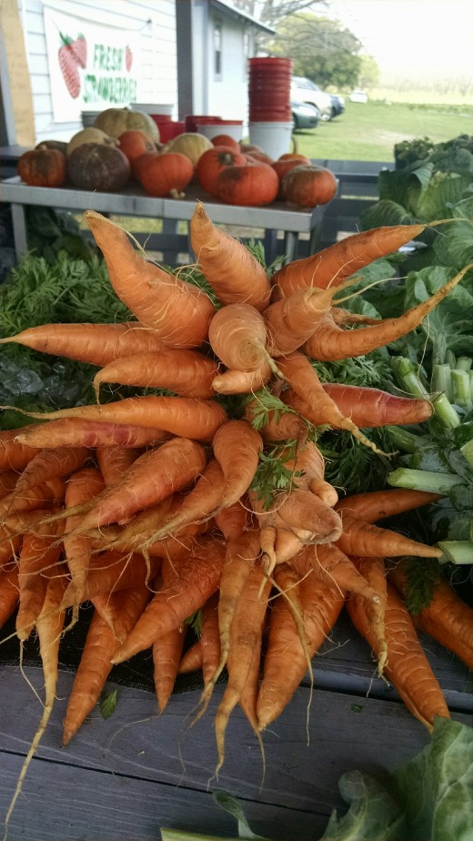 Visiting a Country Produce Stand Makes My Heart Sing HubPages