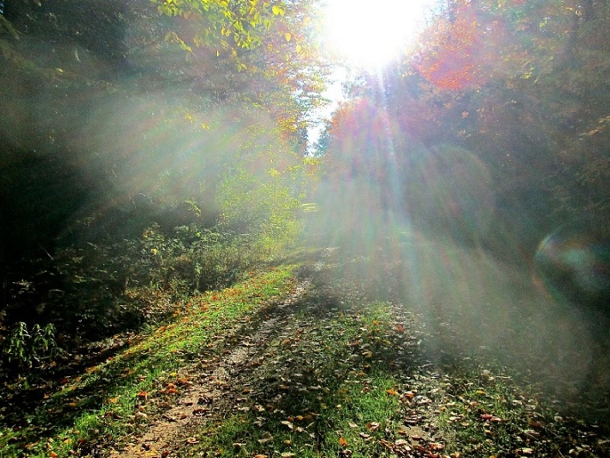 Native American Frog Bay Tribal National Park Travel Wisconsin HubPages