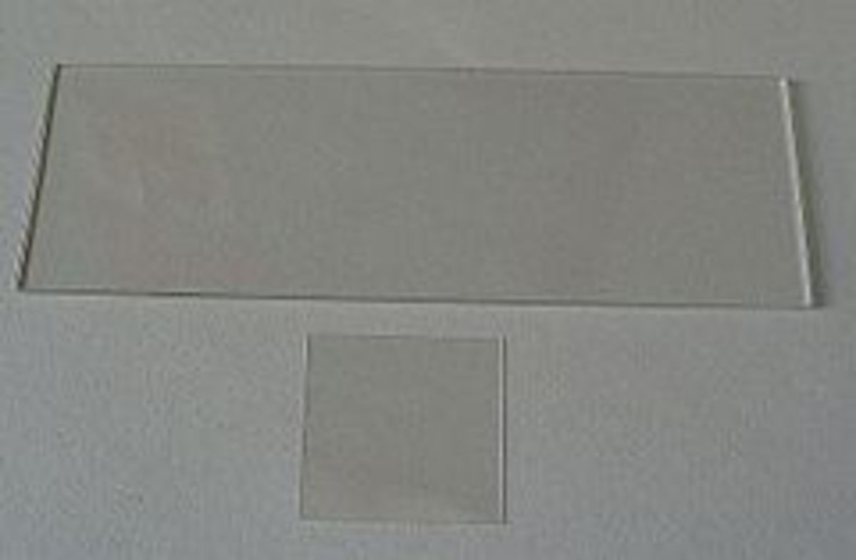 How To Prepare A Temporary Wet Mount A Biology Lab Slide HubPages